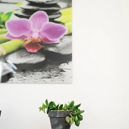 Salomons Sonne Tatil Evi *